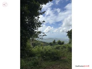 Venta de Terreno de 5 cuerdas en Guayama