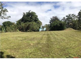 Terreno Bateyes Mayaguez