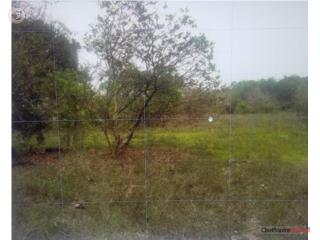 Finca 25 cuerdas