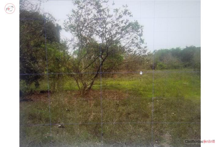 Finca 25 cuerdas