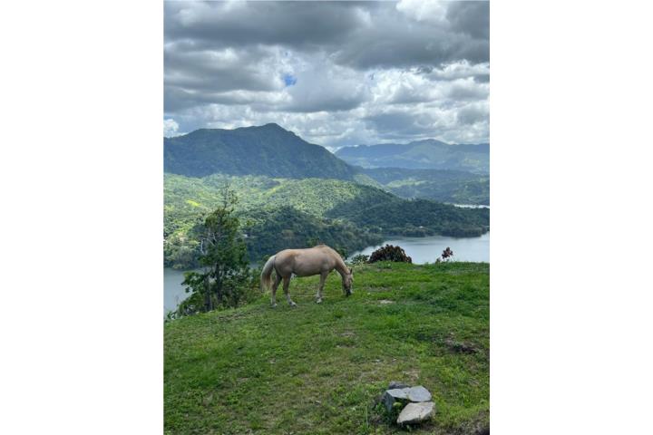 UTUADO 6CDS VISTA LAGO CAONILLAS AGUA Y LUZ