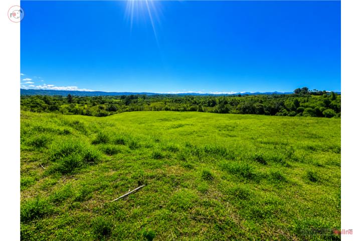 ¡Hermosa finca de 32 cuerdas | San Sebastián!