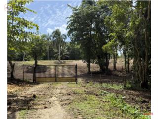 Finca Privada 6.4 Cuerdas 