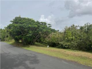 Solar en Cidra, Barrio sud Cerca de upr Cayey