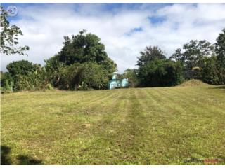 Terreno Bateyes Mayaguez