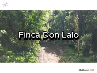 Finca Don Lalo