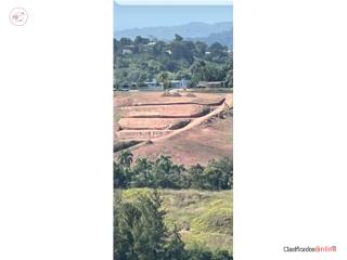 Finca en Barrio Plata, Moca