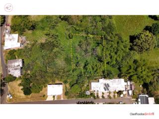 CARR 115 KM HM 11.3, RINCON, PR 00677