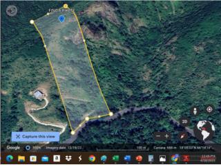 Finca 10 cdas Salinas/Cayey