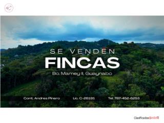 Se vende finca de 7 cuerdas en Guaynabo $249K