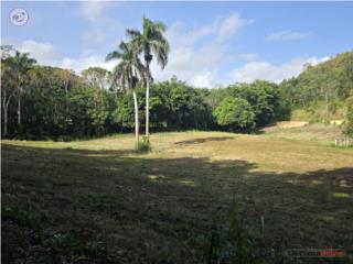 *SOLARES 1,000 MTS LLANOS A BUEN PRECIO*