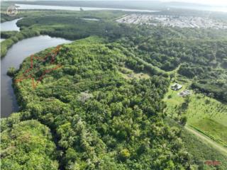 5 Cuerdas colinda Rio PR-3 KM 74.5 