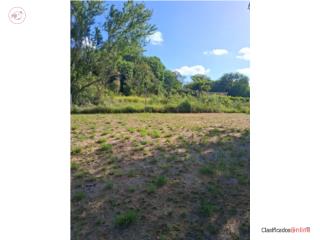 TERRENO, LAJAS, PR 120K (OBO)
