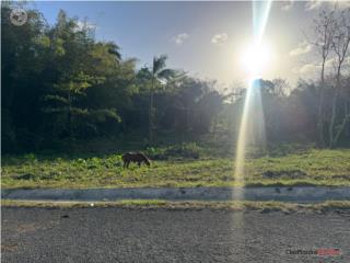 Se vende 3 cuerdas Bo.Voladora Moca $170,000
