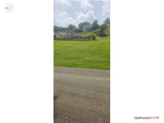Caimital Bajo Puerto Rico