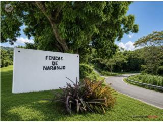 6 Acres - Fincas de Naranjo.