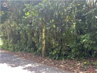 Finca con Estructura Bo Fronton