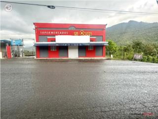 Propiedad Comercial disponible en Bo. Maton 