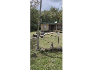 Santo Domingo CARR EST 132 KM 9, Peñuelas, PR