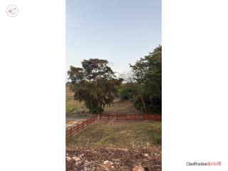 Terreno en Camuy 1300 mts 