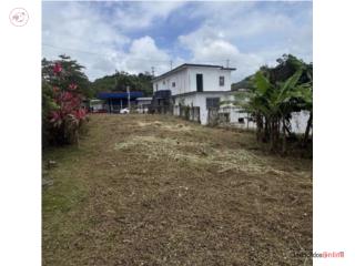 Barrio Daguao