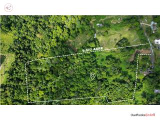 Unique investment opportunity in Vega Alta