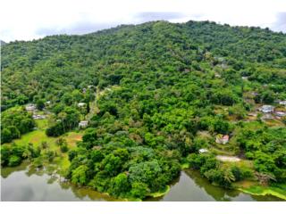 Jaguas Puerto Rico