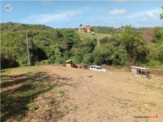 Puerto Rico - Bienes Raices VentaTerreno en Vieques  Puerto Rico