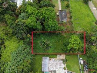 Puerto Rico - Bienes Raices VentaTerreno en Urb Colinas del Yunque Puerto Rico