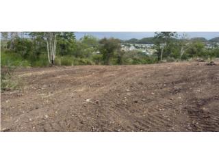 Solar 2,500 m2 Sector Mar Chiquita, Hermoso