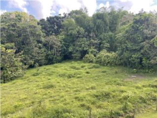 Finca de 13 cuerdas aprox//