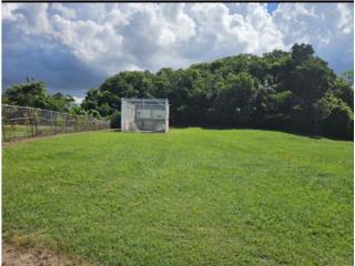 Caimital Bajo Puerto Rico