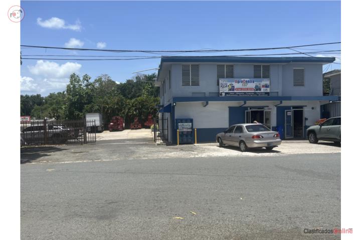 Edificio Comercial Barrio Pugnado