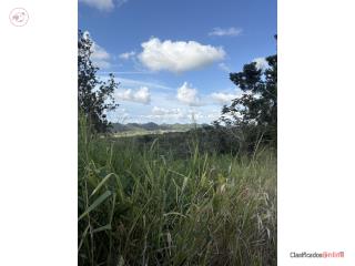Cibuco Puerto Rico