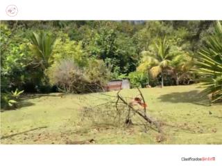 ¡Solar en Venta! - $50K (1,200 metros)