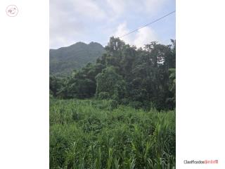 Puerto Rico - Bienes Raices VentaTerreno, El Duque Nagua, 80k cerca del Yunque Puerto Rico