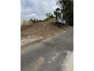 Se Vende Finca en Cayey