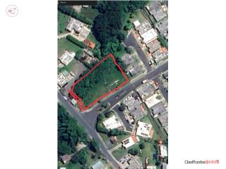 Venta de terreno en Aibonito, llano