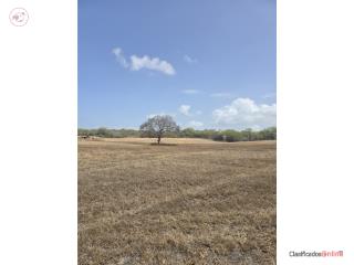 Venta finca 17.cuerdas Cabo Rojo