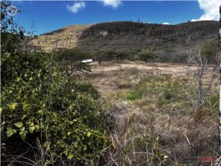 Finca 10 cuerdas llanas