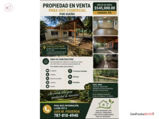 Galeria