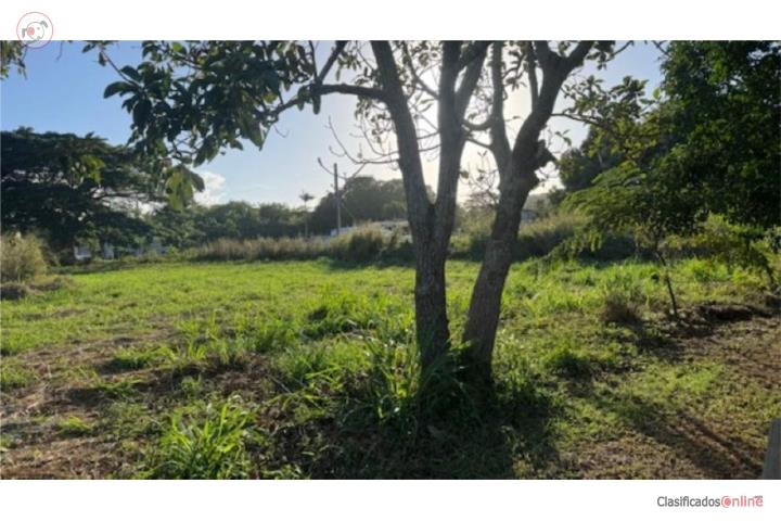 Finca de 3.85 cuerdas (15,167MC)