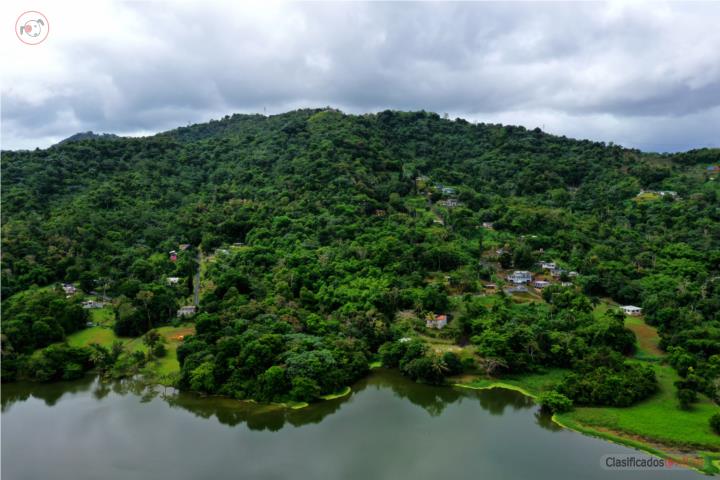 10 CUERDAS DE TERRENO GURABO FRENTE AL LAGO