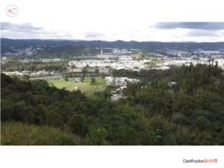 Cayey 29 cuerdas a 2 minutos de salid...