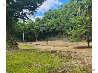 Hermoso Terreno en Ciales 3.03-acre