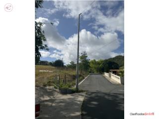 Rincon Sector Candelas Ave Campo Bello