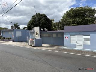 Galeria