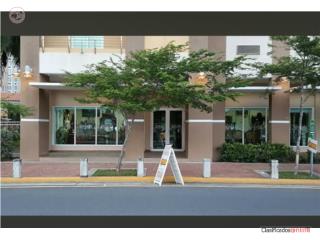 Galeria