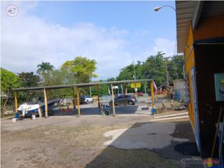 Galeria