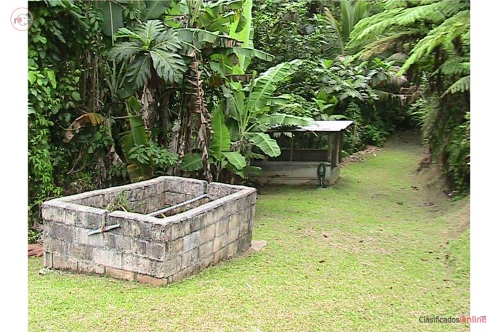 180K Finca 30C Sal Salvador Caguas